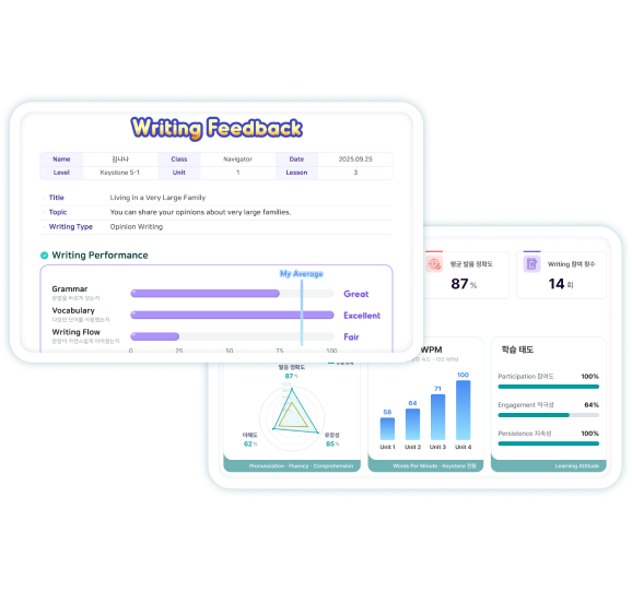 Feedback & Report